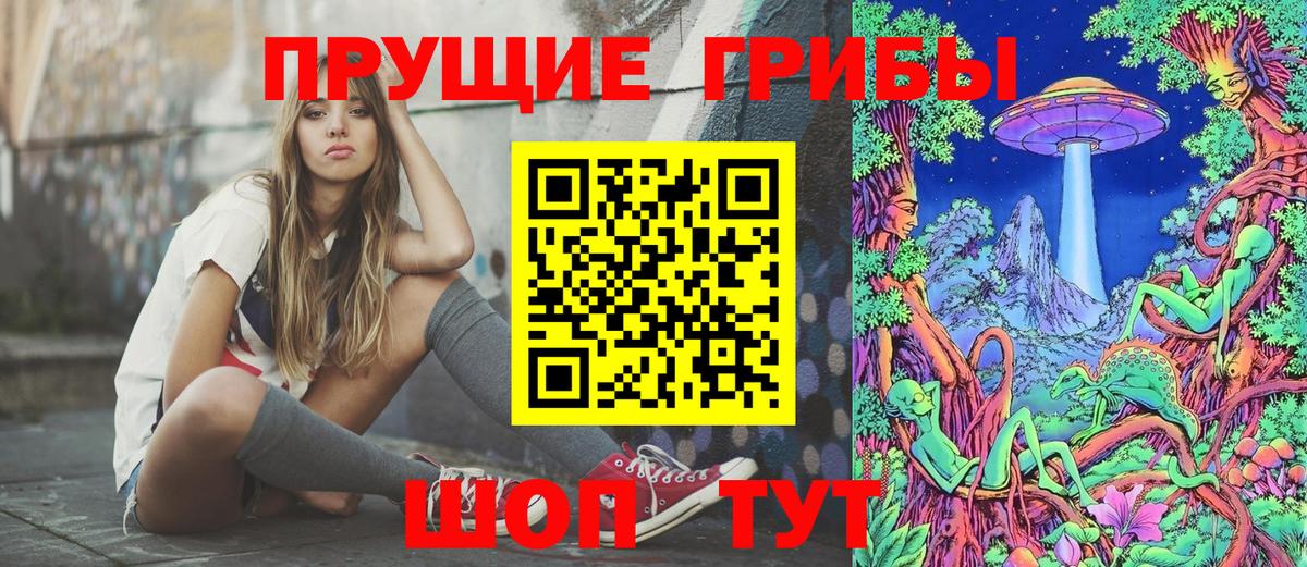 купить   Вход с VPN  Ревда  Псилоцибиновые грибы GOLDEN TEACHER  Галлюциногенные грибы Magic Shrooms 