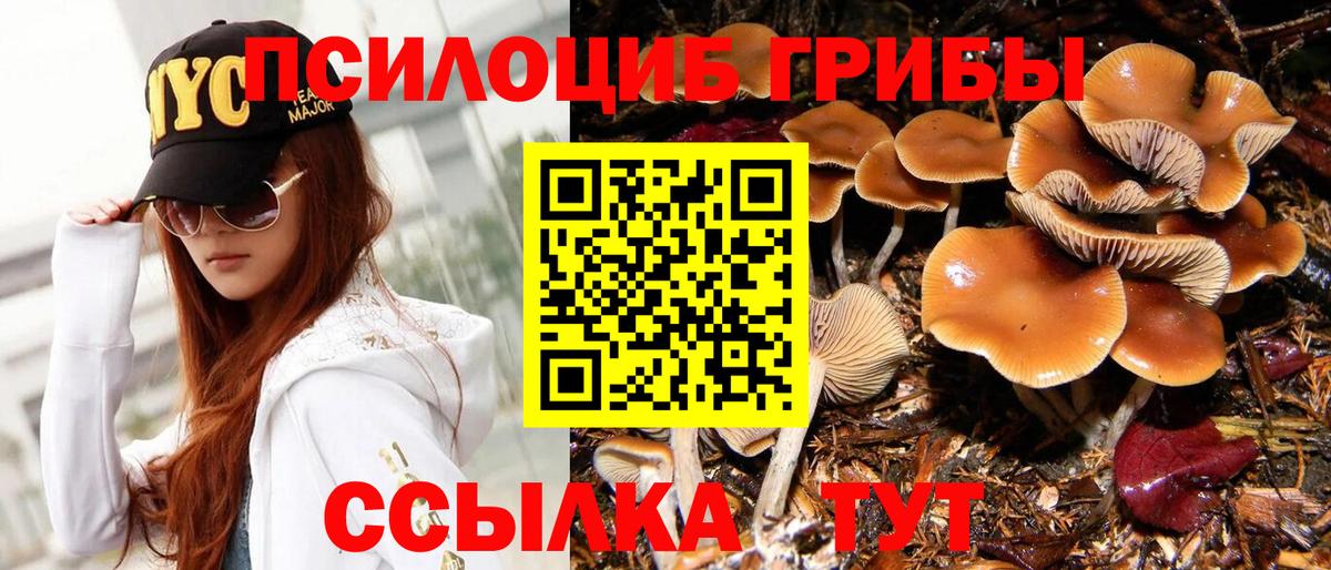 Псилоцибиновые грибы Cubensis Ревда
